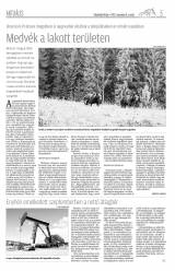 Vásárhelyi Hírlap XI. évfolyam, 215. szám