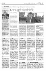 Vásárhelyi Hírlap XI. évfolyam, 216. szám