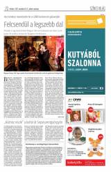 Krónika XIX. évfolyam, 217. szám