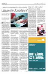 Krónika XIX. évfolyam, 219. szám