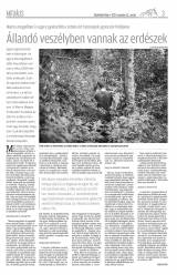 Vásárhelyi Hírlap XI. évfolyam, 220. szám