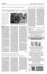 Krónika XIX. évfolyam, 222. szám