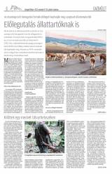 Gyergyói Hírlap VIII. évfolyam, 222. szám