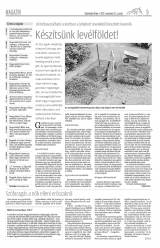 Vásárhelyi Hírlap XI. évfolyam, 225. szám