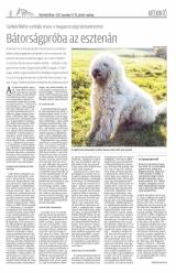Vásárhelyi Hírlap XI. évfolyam, 227. szám