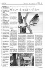 Vásárhelyi Hírlap XI. évfolyam, 229. szám