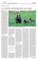 Gyergyói Hírlap VIII. évfolyam, 229. szám