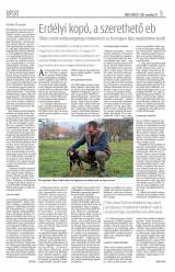 Erdélyi Napló XVII. évfolyam, 48. szám