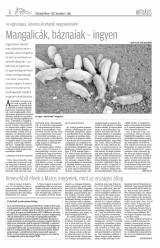 Vásárhelyi Hírlap XI. évfolyam, 232. szám