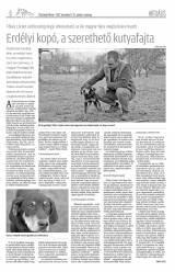 Vásárhelyi Hírlap XI. évfolyam, 235. szám