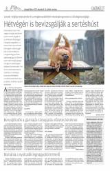 Gyergyói Hírlap VIII. évfolyam, 235. szám