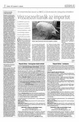Krónika XIX. évfolyam, 239. szám
