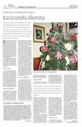 Gyergyói Hírlap VIII. évfolyam, 242. szám