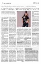 Krónika XIX. évfolyam, 242. szám