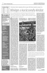Krónika XIX. évfolyam, 242. szám