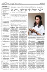 Vásárhelyi Hírlap XI. évfolyam, 243. szám