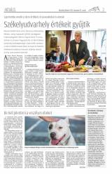 Udvarhelyi Híradó XXVIII. évfolyam, 243. szám