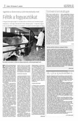 Krónika XIX. évfolyam, 244. szám