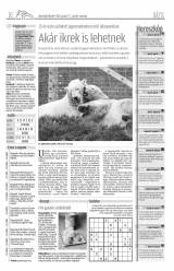 Udvarhelyi Híradó XXIX. évfolyam, 3. szám