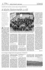 Csíki Hírlap XIII. évfolyam, 13. szám
