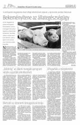 Vásárhelyi Hírlap XII. évfolyam, 17. szám