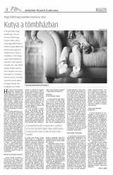 Udvarhelyi Híradó XXIX. évfolyam, 17. szám