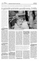 Udvarhelyi Híradó XXIX. évfolyam, 17. szám