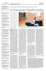 Vásárhelyi Hírlap XII. évfolyam, 18. szám