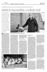 Vásárhelyi Hírlap XII. évfolyam, 22. szám