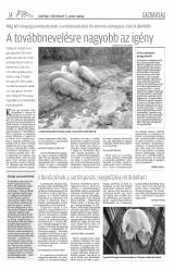 Csíki Hírlap XIII. évfolyam, 27. szám
