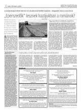 Krónika XX. évfolyam, 31. szám