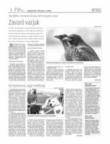 Udvarhelyi Híradó XXIX. évfolyam, 36. szám