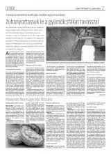 Krónika XX. évfolyam, 37. szám