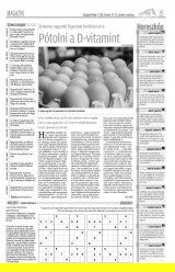 Gyergyói Hírlap IX. évfolyam, 37. szám