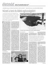 Krónika XX. évfolyam, 42. szám