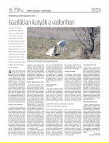 Udvarhelyi Híradó XXIX. évfolyam, 42. szám
