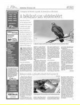 Vásárhelyi Hírlap XII. évfolyam, 43. szám