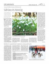 Csíki Hírlap XIII. évfolyam, 43. szám