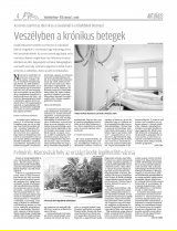 Vásárhelyi Hírlap XII. évfolyam, 45. szám