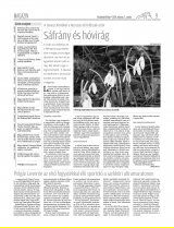 Vásárhelyi Hírlap XII. évfolyam, 45. szám