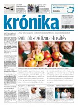 XX. évfolyam, 46. szám