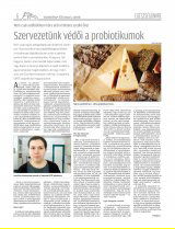 Vásárhelyi Hírlap XII. évfolyam, 46. szám
