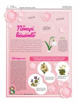 Gyergyói Hírlap IX. évfolyam, 46. szám