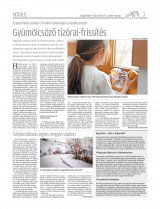 Gyergyói Hírlap IX. évfolyam, 47. szám