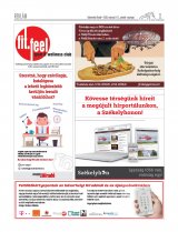 Udvarhelyi Híradó XXIX. évfolyam, 47. szám