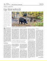 Udvarhelyi Híradó XXIX. évfolyam, 47. szám