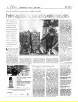 Udvarhelyi Híradó XXIX. évfolyam, 47. szám