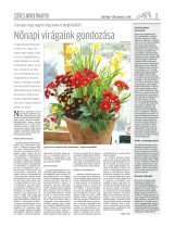 Csíki Hírlap XIII. évfolyam, 48. szám