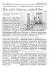 Krónika XX. évfolyam, 50. szám