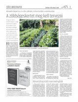 Csíki Hírlap XIII. évfolyam, 53. szám
